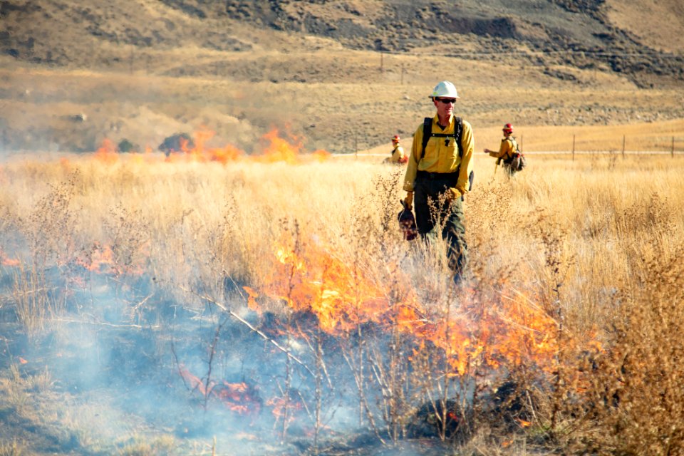 Cinnabar Basin prescribed burn project (7)