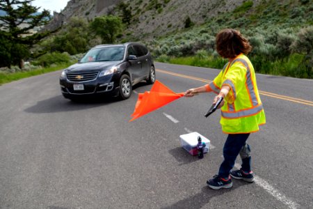 Visitor Use Management - road-based summer surveys (3) photo
