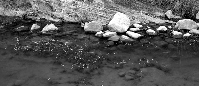 ROCK CORRAL CANYON - Atascosa Mts (3-22-14) -19 photo