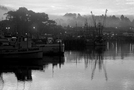 CA - SLO COUNTY, Morro Bay area (23) photo