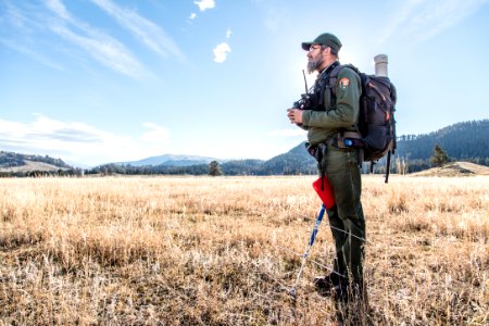 Rick Wallen watches a group of bison