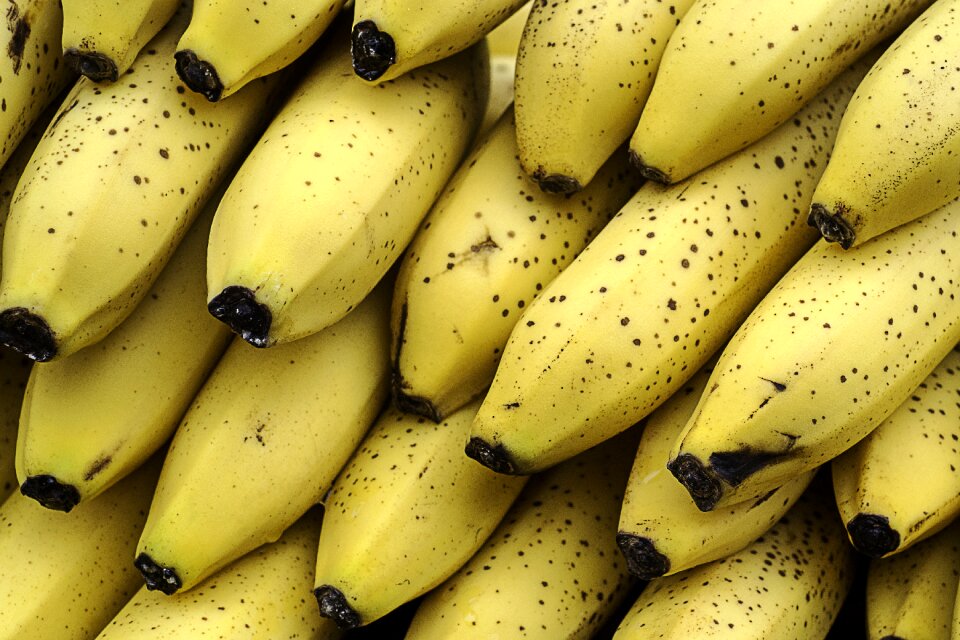 Healthy yellow tropical