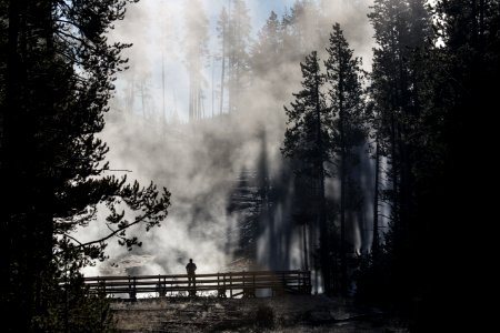 Trees & Steam at Frying Pan Spring