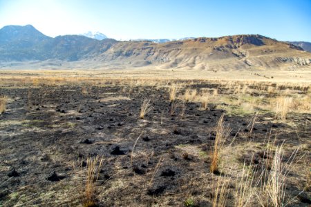 Cinnabar Basin prescribed burn project (29) - treated area