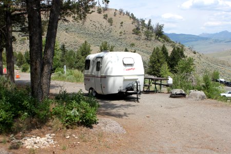 Mammoth Hot Springs Campground
