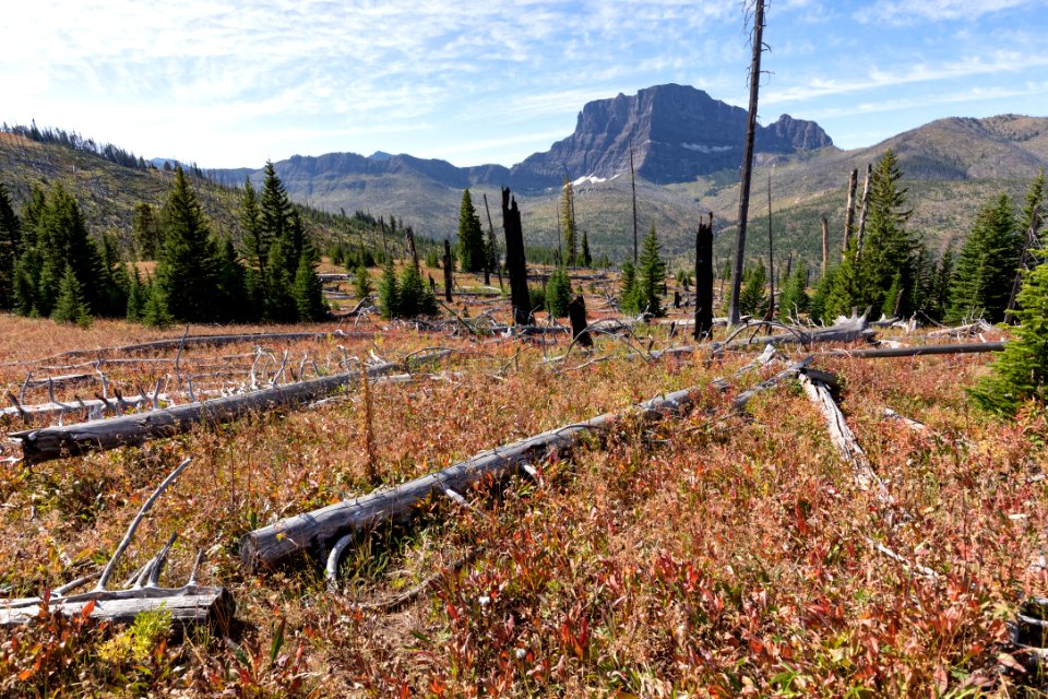 Cutoff Mountain from the Wolverine Creek drainage