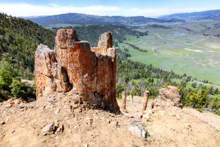 Three standing petrified trees on Specimen Ridge from above