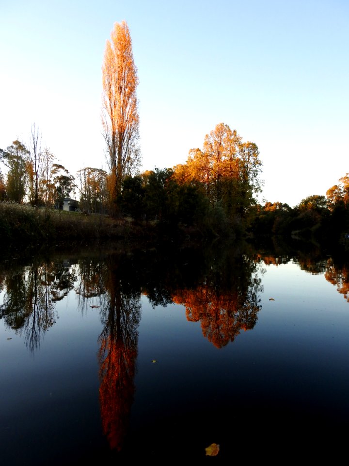 Queanbeyan River