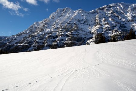 Animals tracks & Barronette Peak