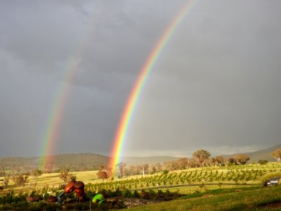 Double Rainbow