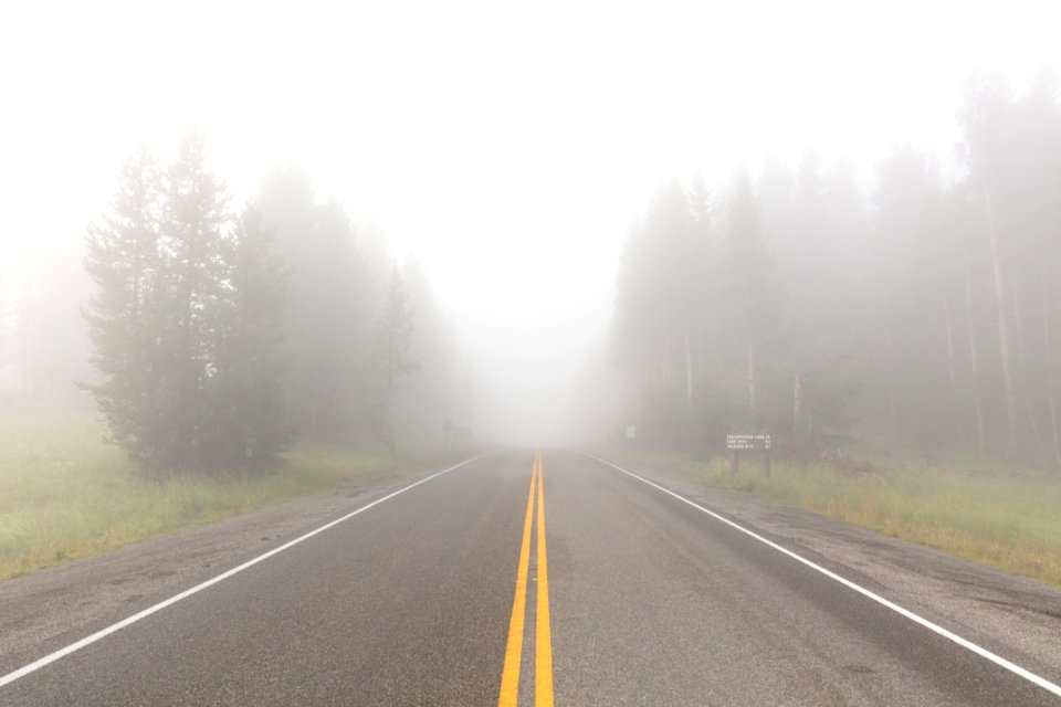 Foggy morning at Canyon Village