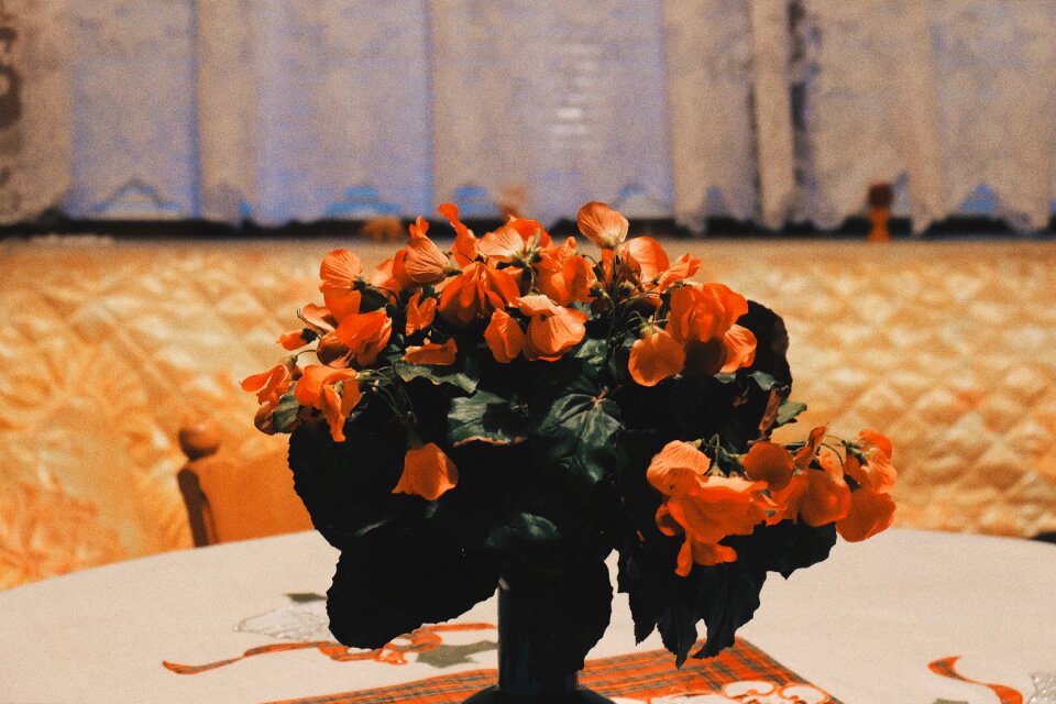 Orange flowers vase