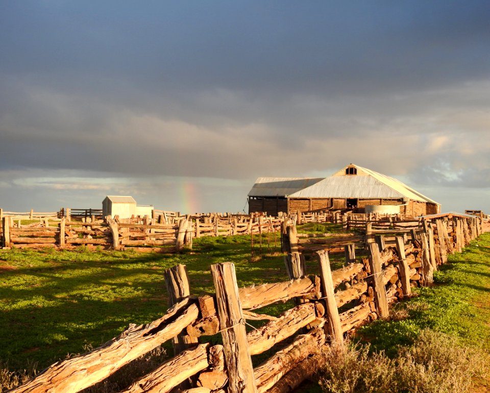 Woodshed at Mungo National Park