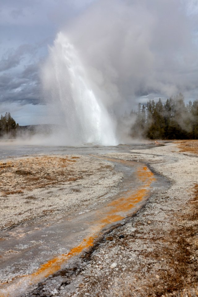 Daisy Geyser eruption and outflow channel (portrait)