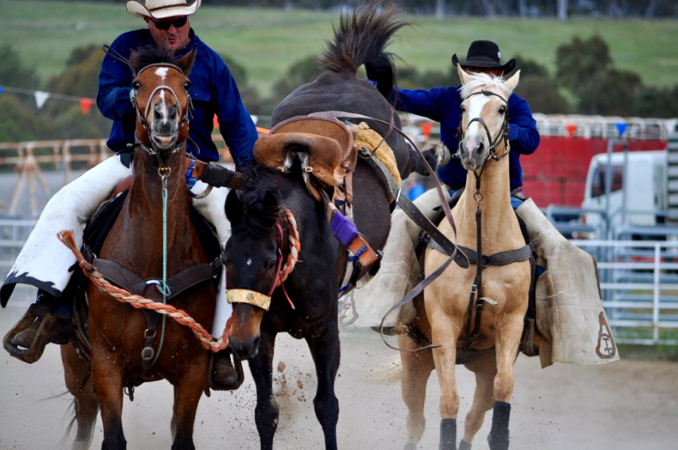 Bungendore Rodeo 2015