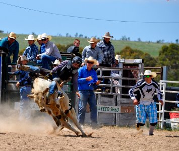 Bungendore Rodeo 2015