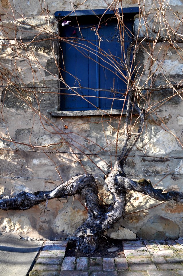 Barossa Valley
