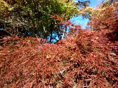 IMG 20151019 092229991