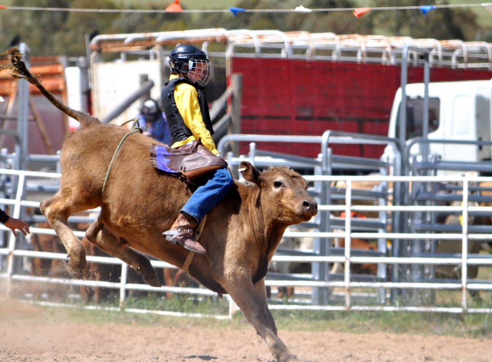 Bungendore Rodeo 2015