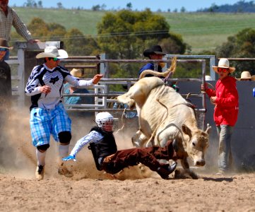 Bungendore Rodeo 2015