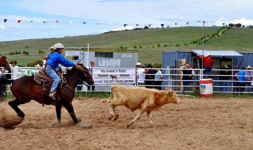 Bungendore Rodeo 2015
