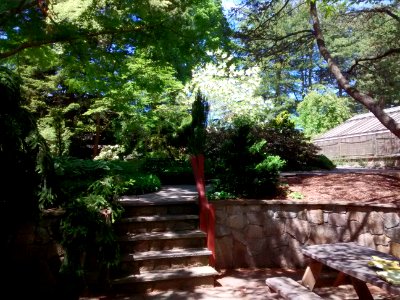 IMG 20150605 110616492