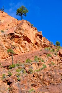 Arkaroola photo