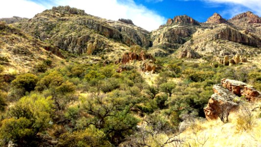 ROCK CORRAL CANYON - Atascosa Mts (3-22-14) -08 photo