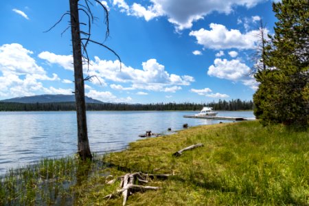 Boat dock and shoreline in Eagle Bay photo