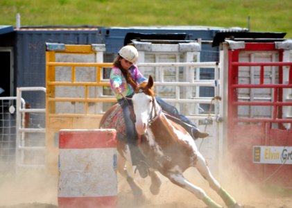 Bungendore Rodeo 2015