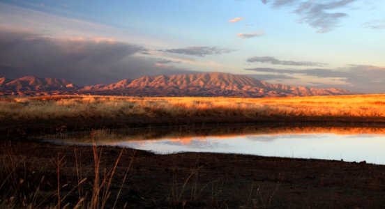 SAN RAFAEL VALLEY GRASSLANDS, SE of Patagonia, scc, az (11-15-12) -08b early morning at tank on border