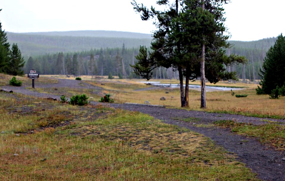 Trail to Madison River