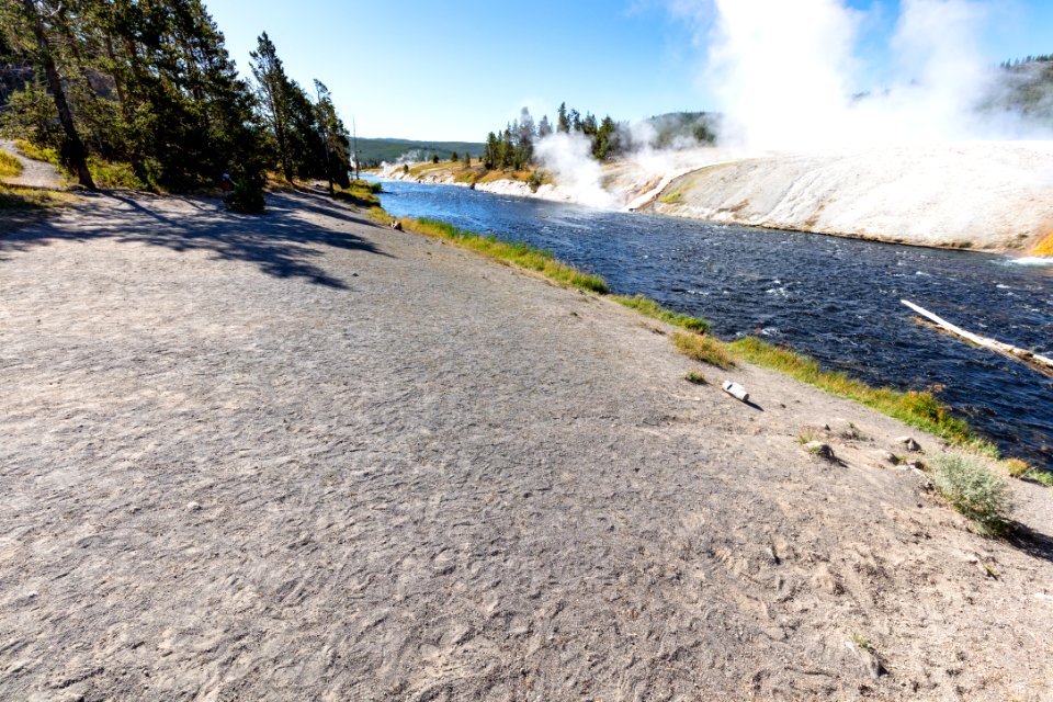 Vegetation impacts along the Firehole river due to increased foot traffic