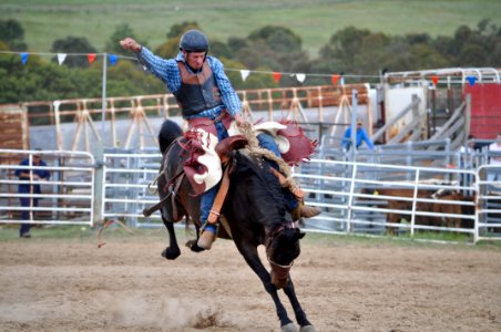 Bungendore Rodeo 2015