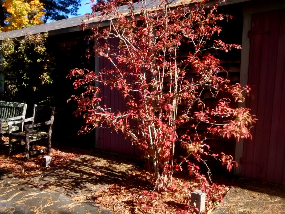 IMG 20151029 111308524