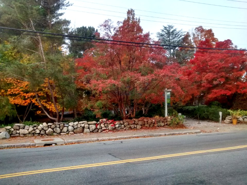 IMG 20151102 080200945 HDR