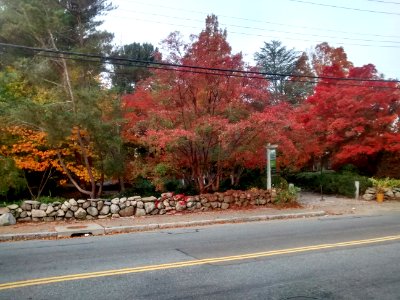 IMG 20151102 080200945 HDR