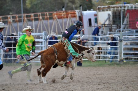 Bungendore Rodeo 2015