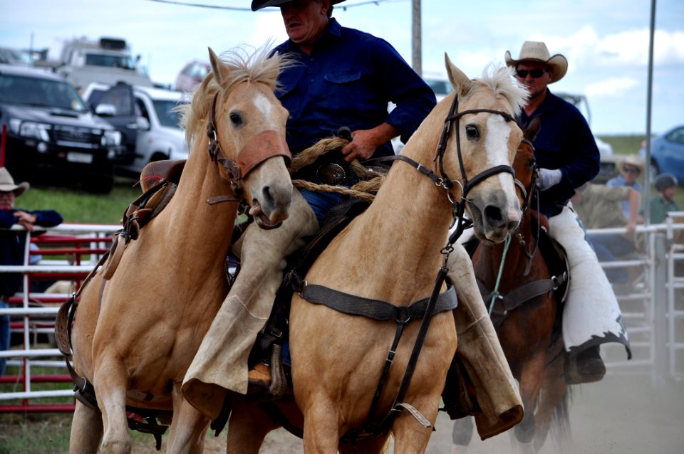 Bungendore Rodeo 2015