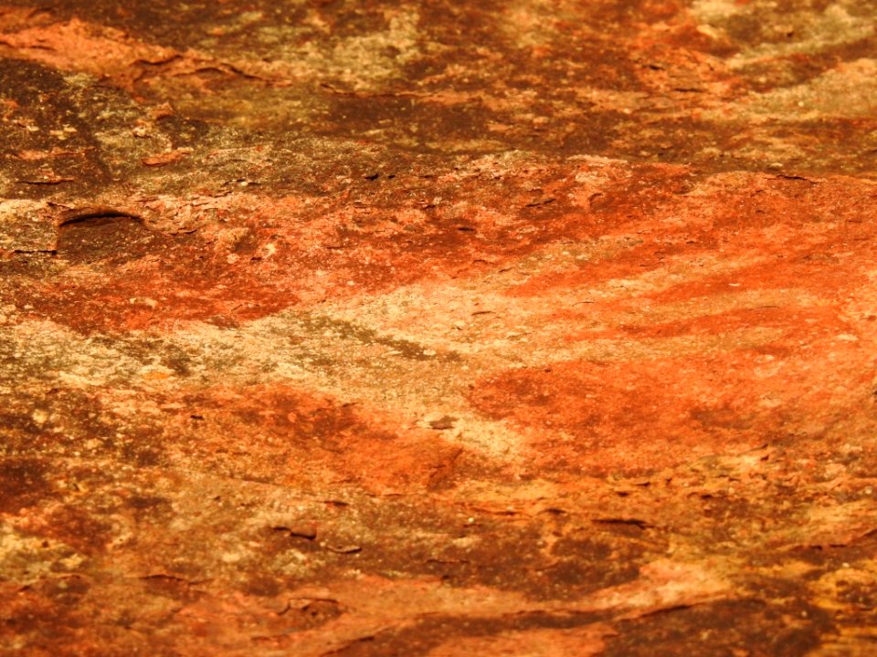 Aboriginal rock art