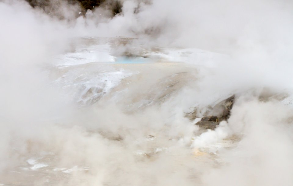 Thermal features in Porcelain Basin at Norris Geyser Basin