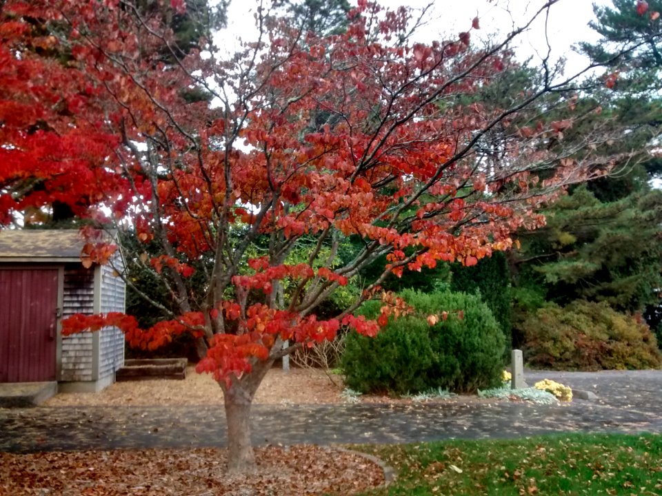 IMG 20151028 140824882 HDR