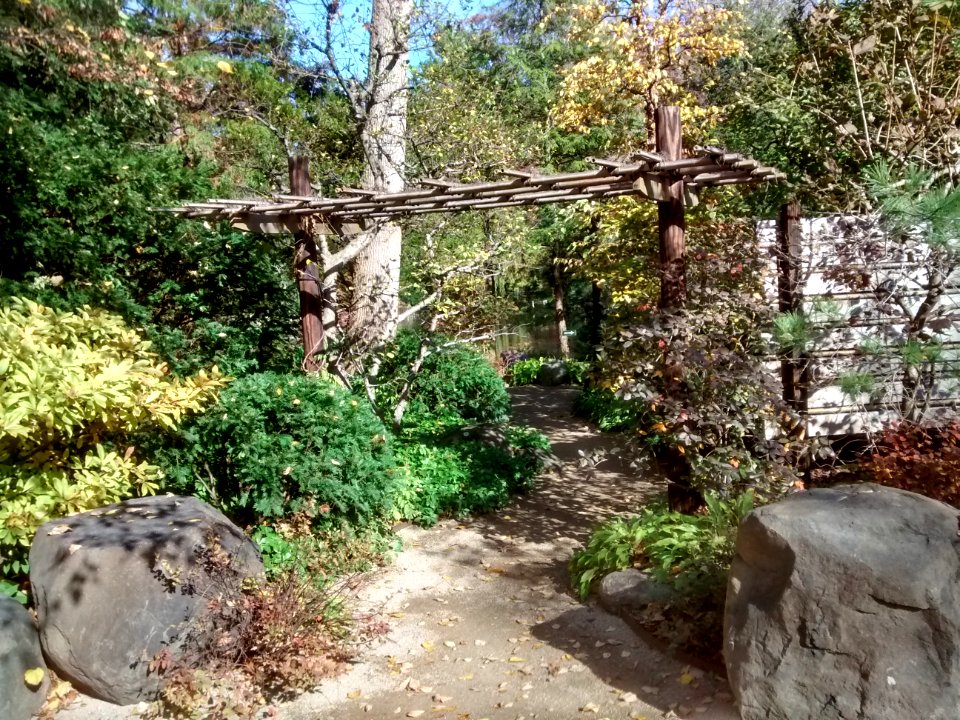 IMG 20151026 110119676 HDR