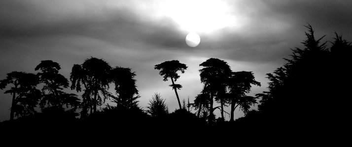 CA -  SLO COUNTY, Morro Bay area (16)