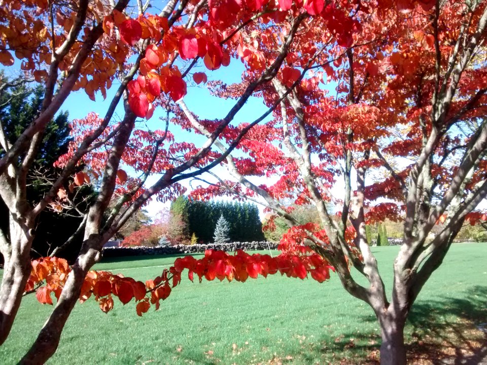 IMG 20151029 111243715