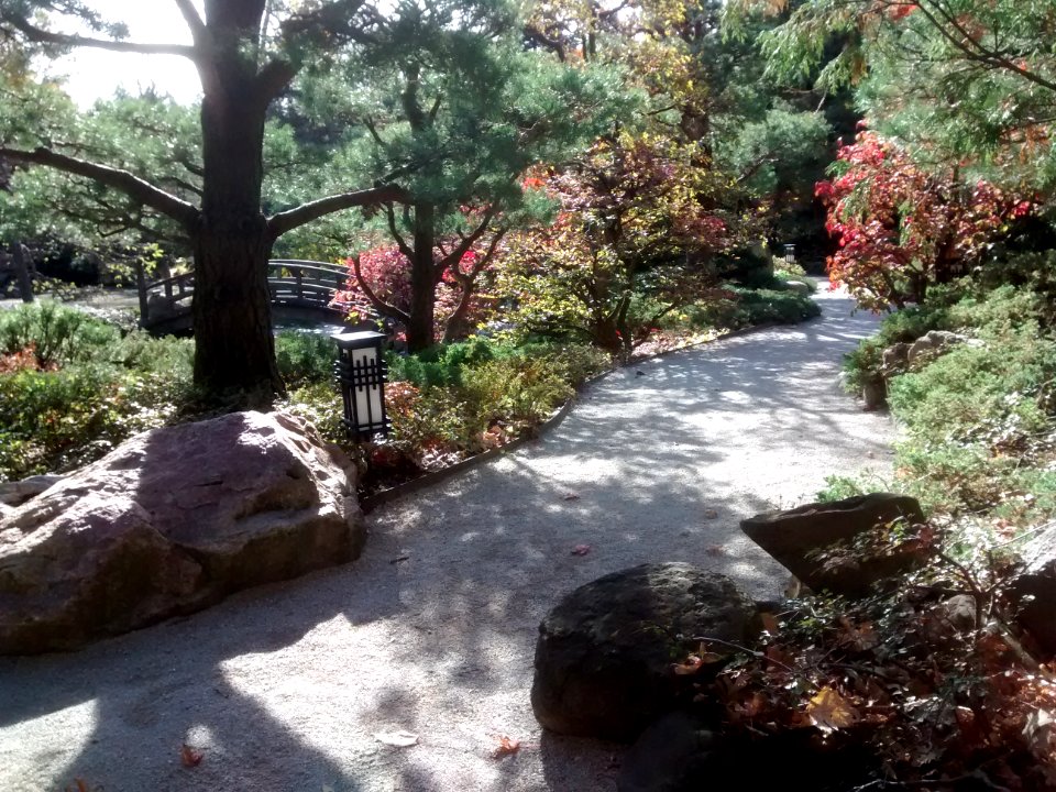 IMG 20151026 112112028