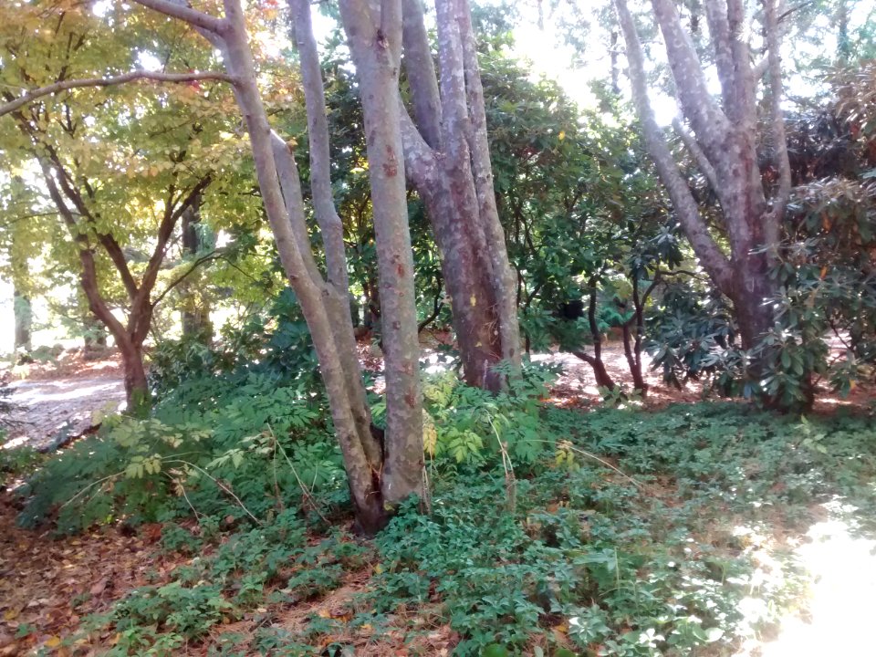 IMG 20151029 112235583