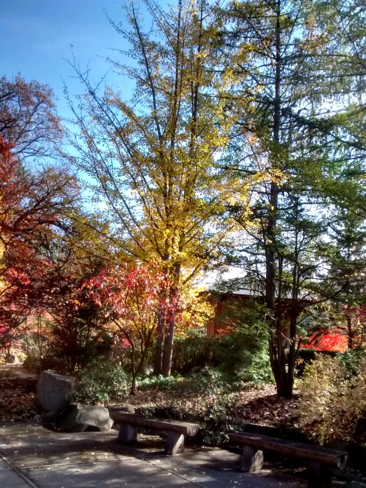 IMG 20151026 114621310 HDR
