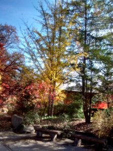 IMG 20151026 114621310 HDR