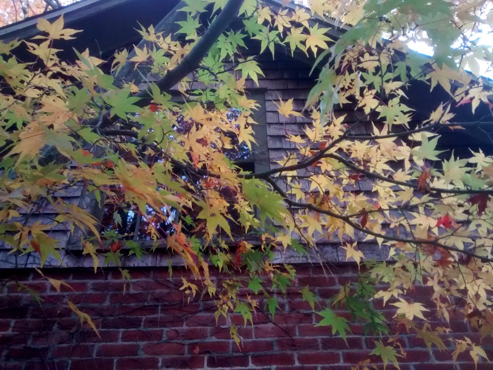 IMG 20151106 110721044